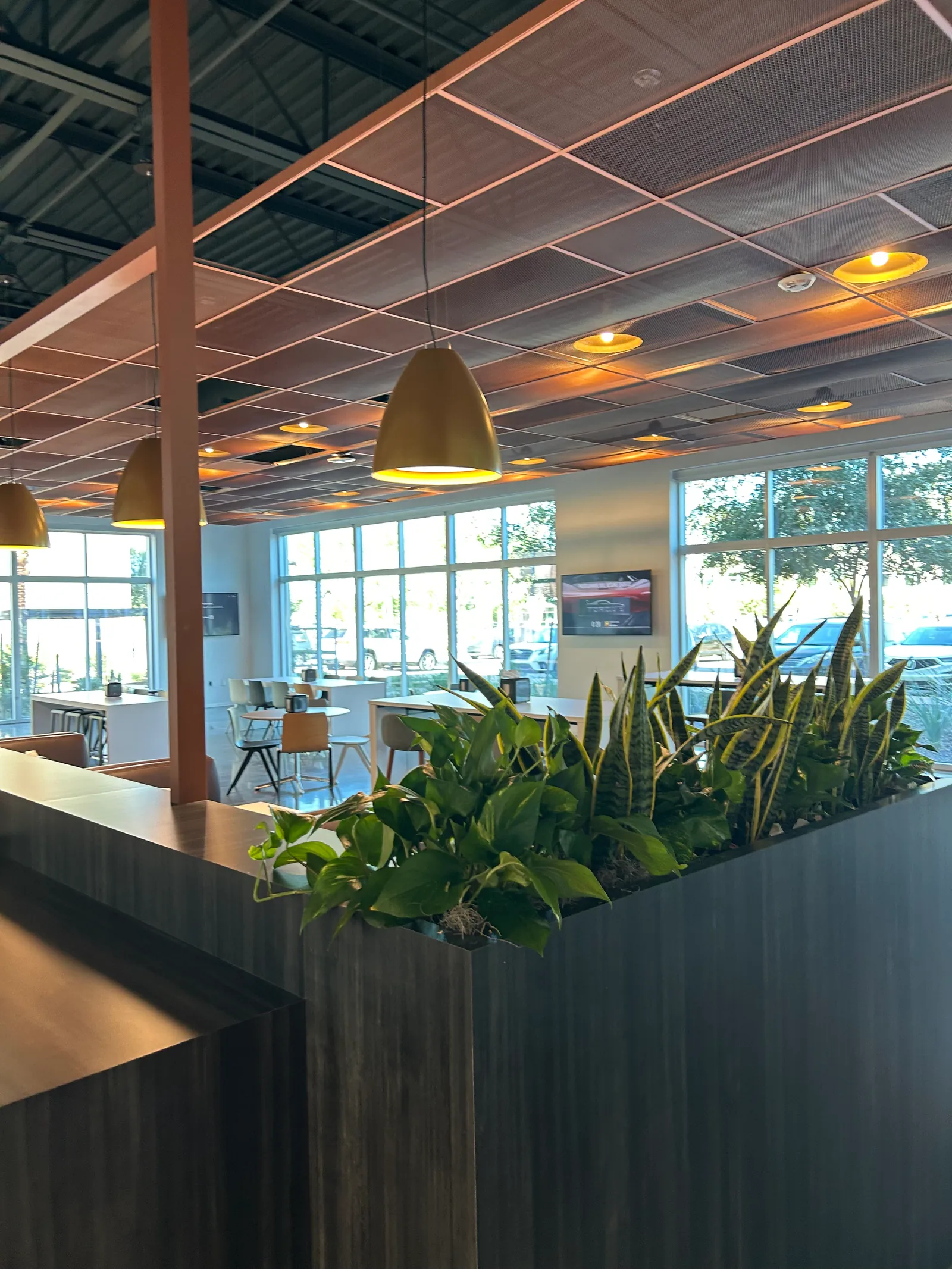 Café seating beside a planted divider and large windows.